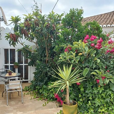 PedralvaCasa Dos Avos别墅 外观 照片