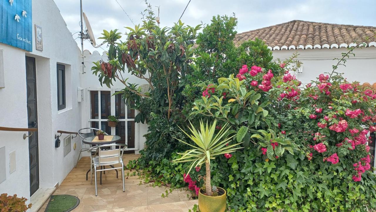 PedralvaCasa Dos Avos别墅 外观 照片